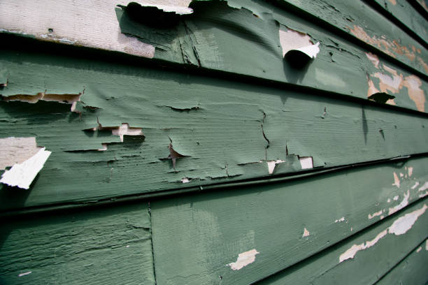 Best Recycling Services for Junk  in Anaconda, MT